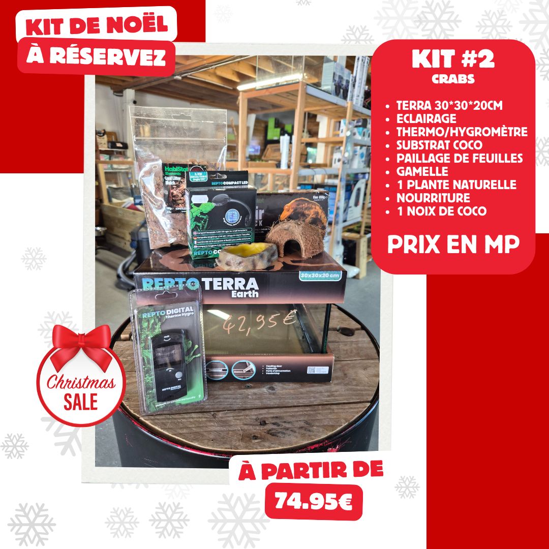 Kit de Noël pour crabes vampires