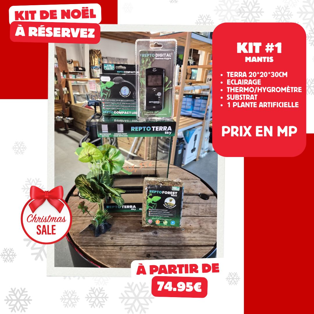 Kit de Noël pour Mantes
