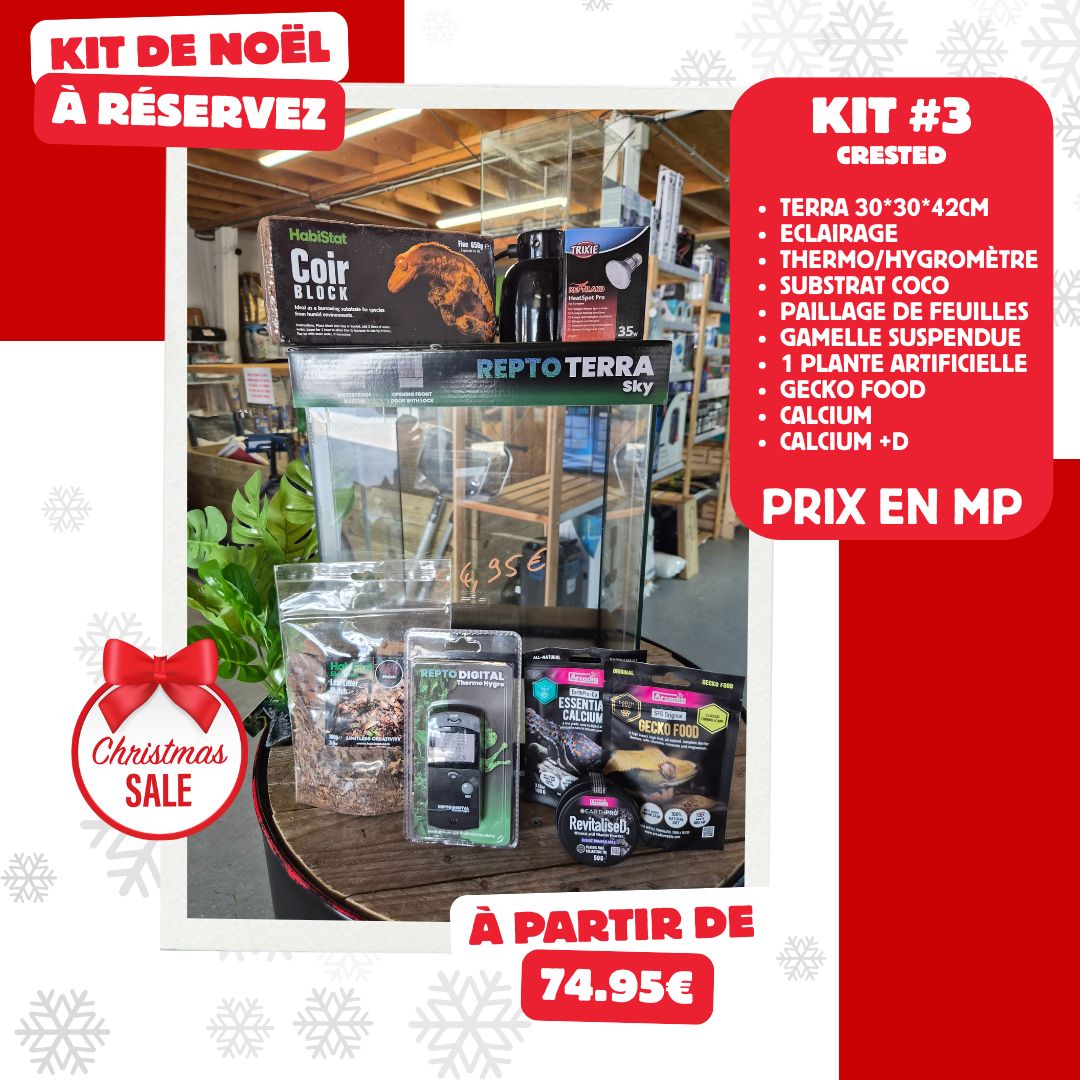Kit de terrarium pour gecko à crête