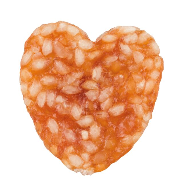 Calendrier de l'avent PREMIO pour chiens