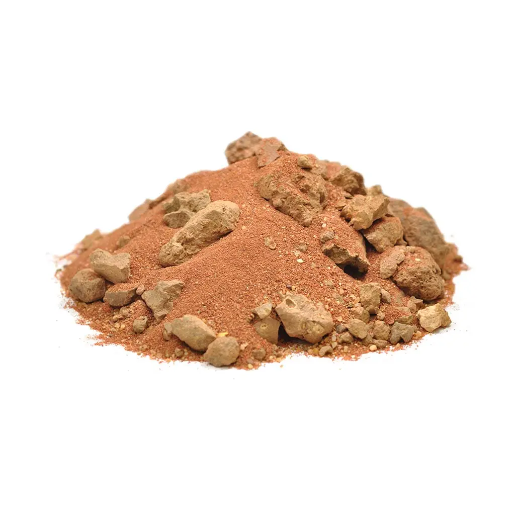 Litière pour Agame barbu