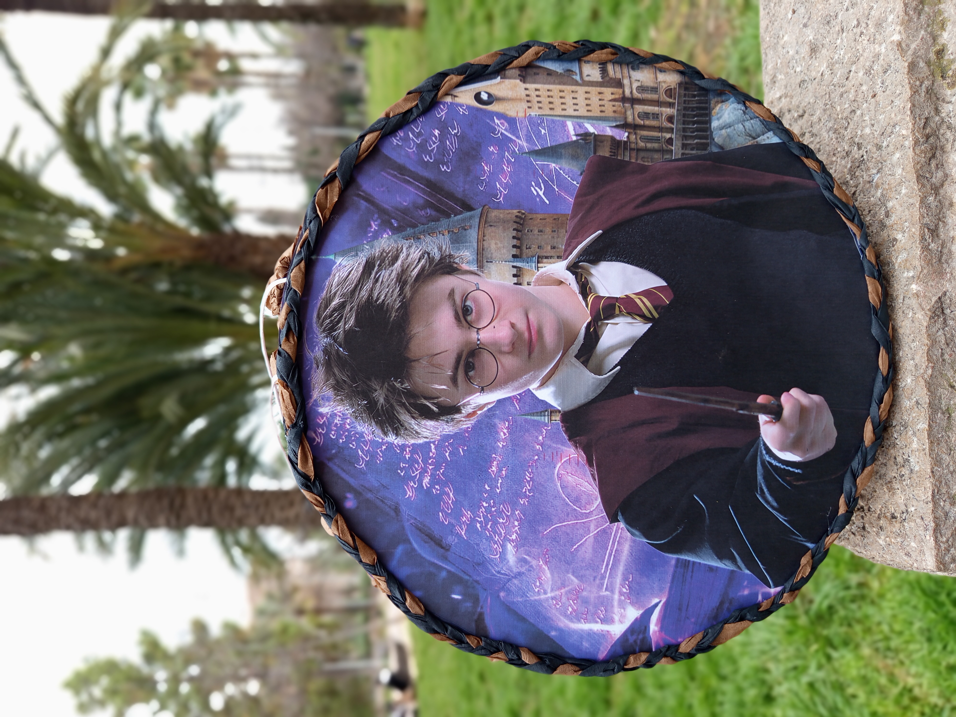 Piñata de Harry Potter 50cm