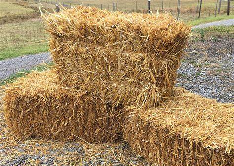 Hay Bale