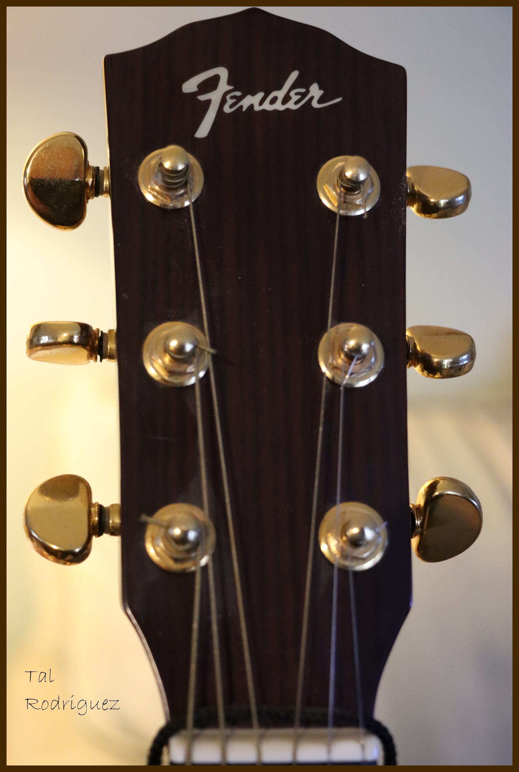 1831 - Fender Acoustic Guitar Headstock