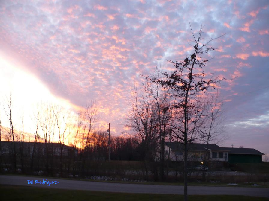 SHPS 2 - South Haven Patio Sunset