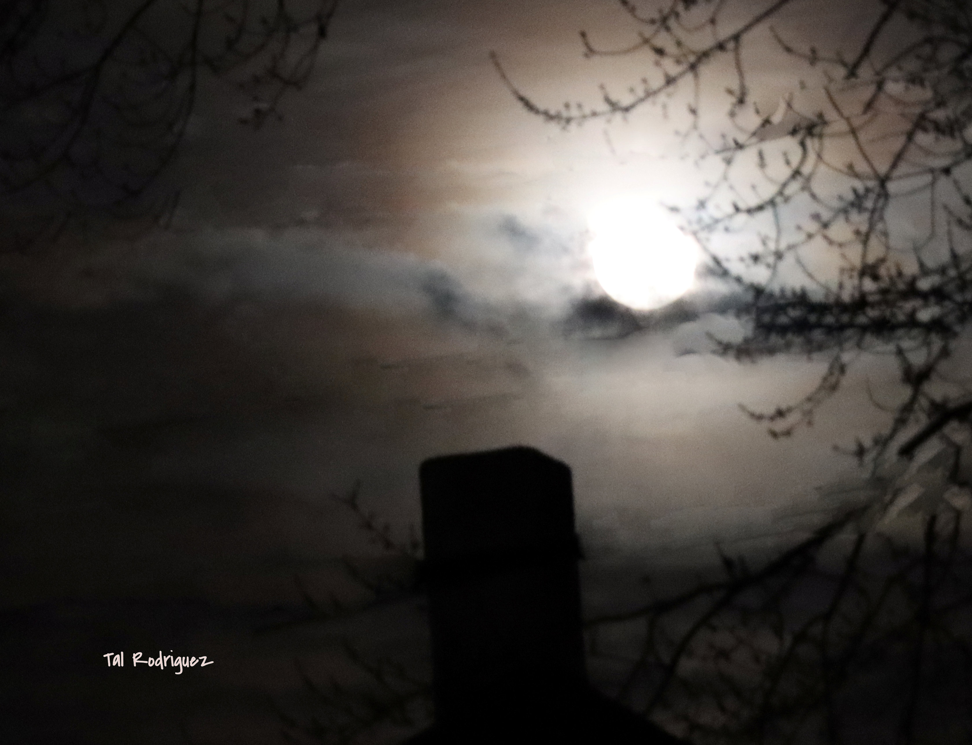 13554 - Moody Night Sky Photograph
