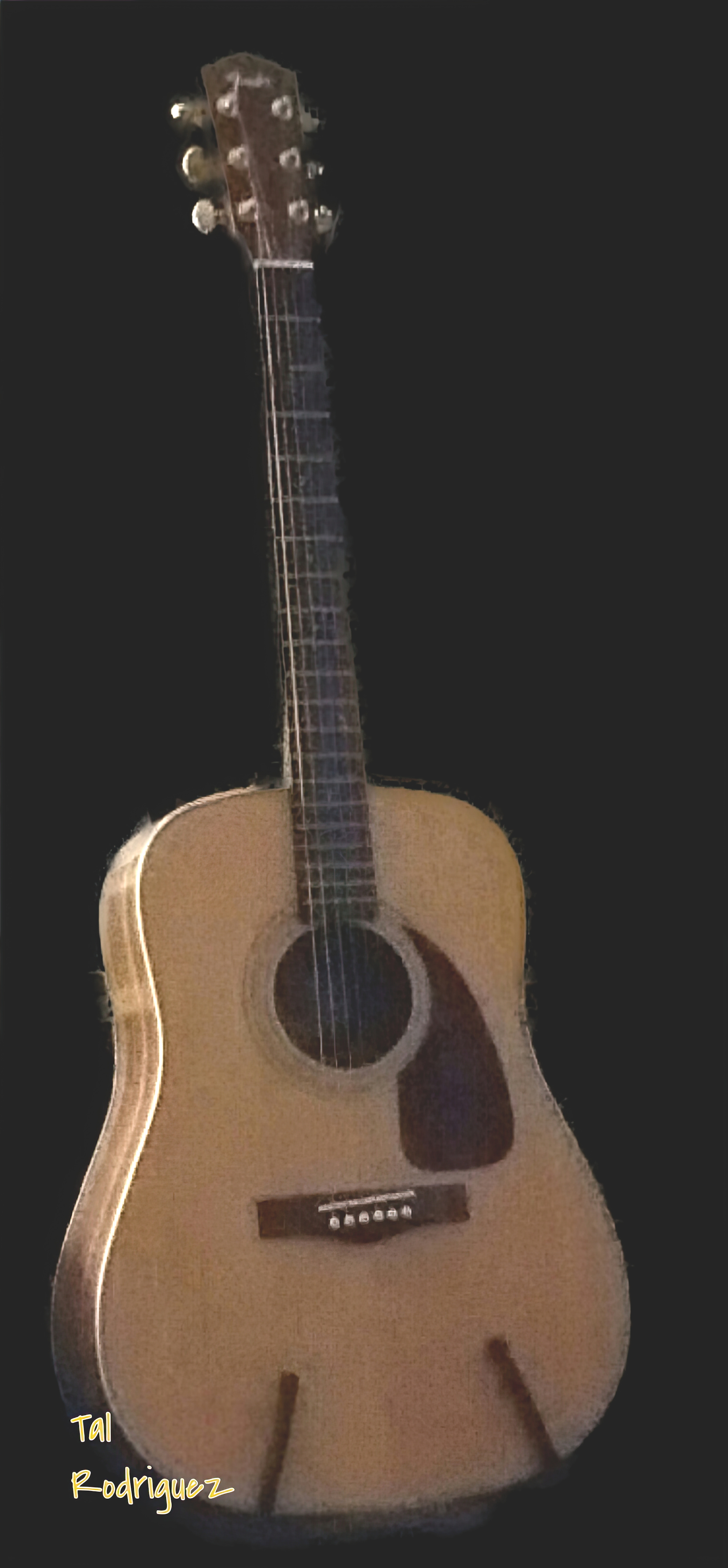 800SX - Fender Acoustic Guitar