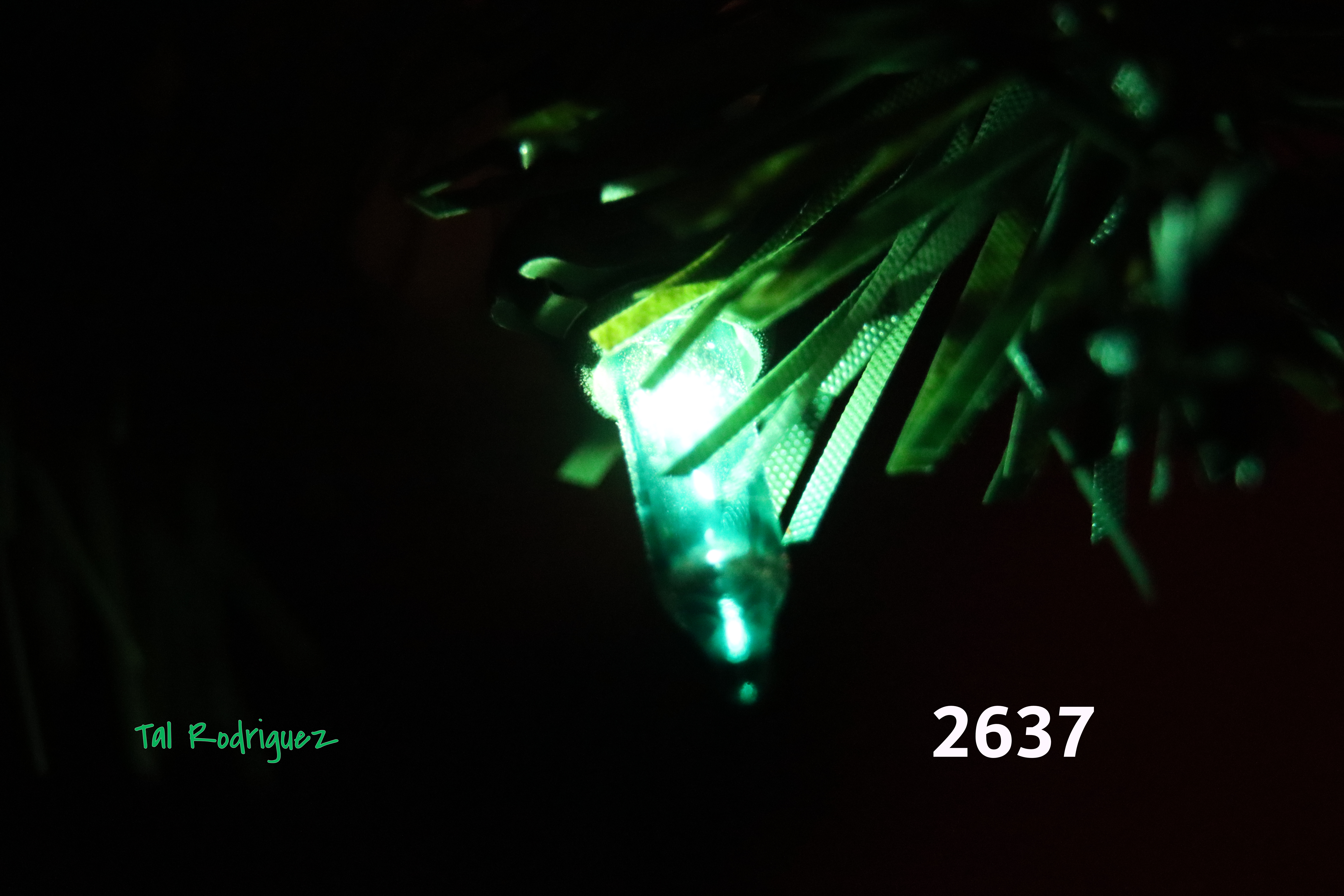 2600 Series - Tree Lites