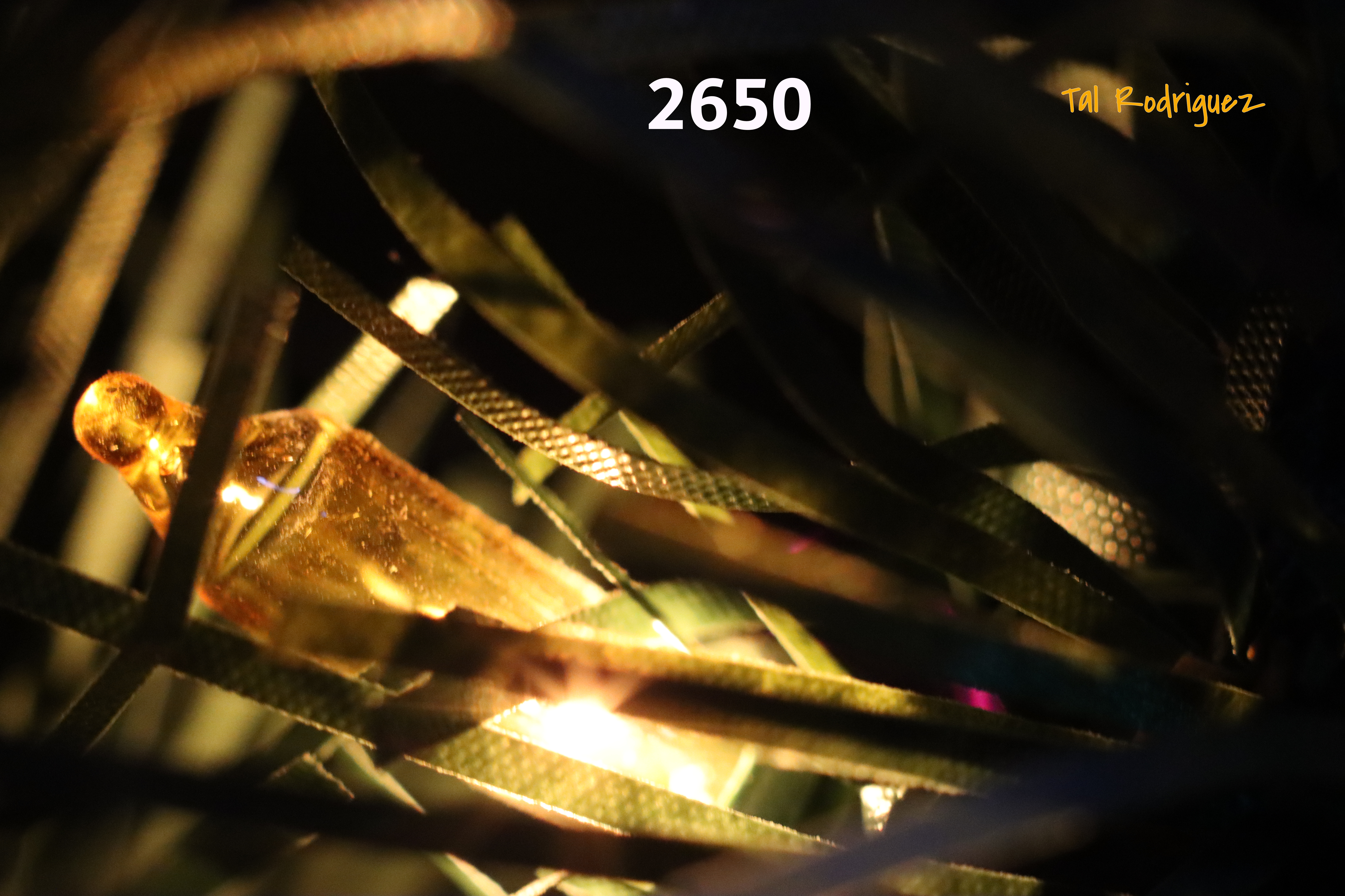 2600 Series - Tree Lites