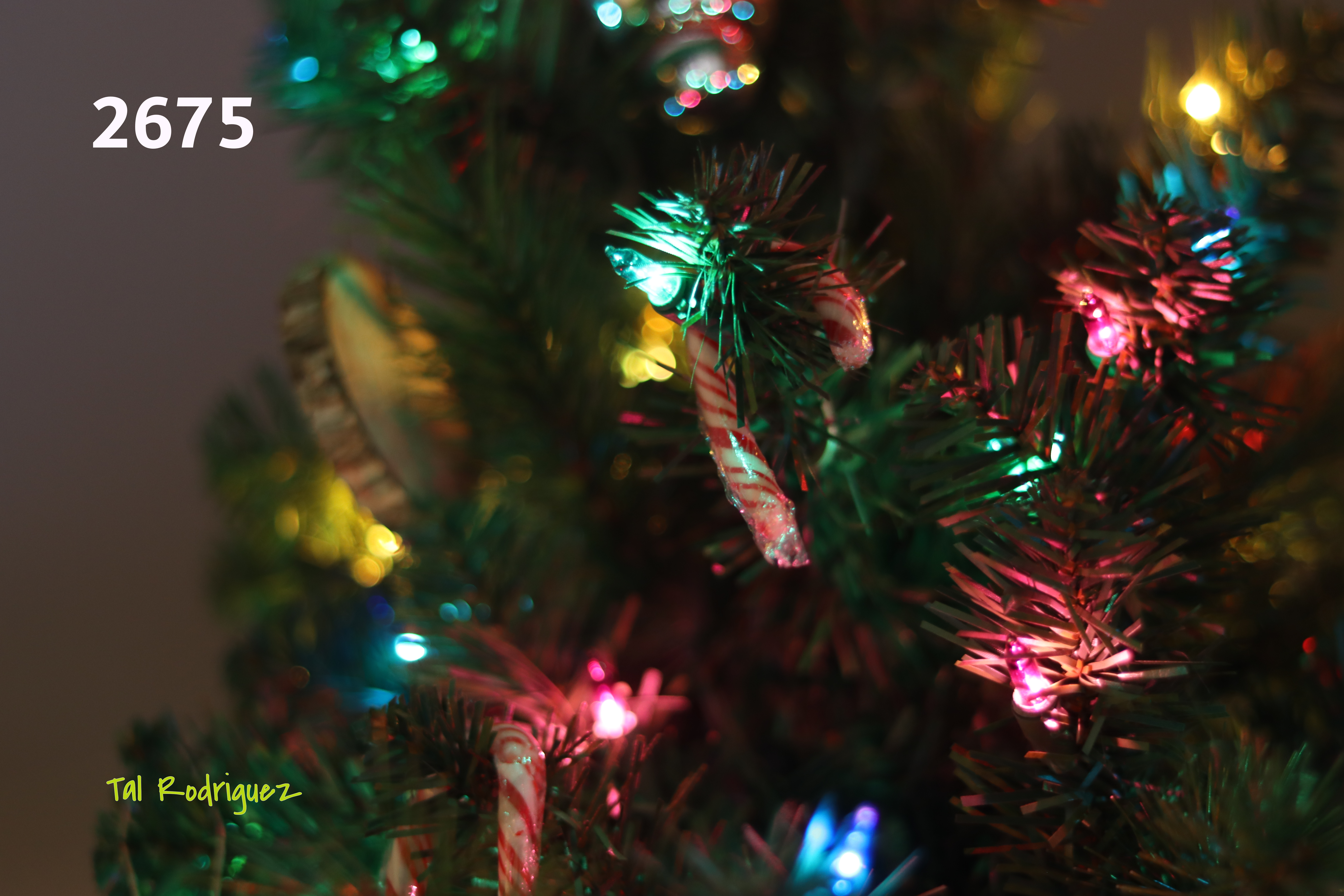 2600 Series - Tree Lites