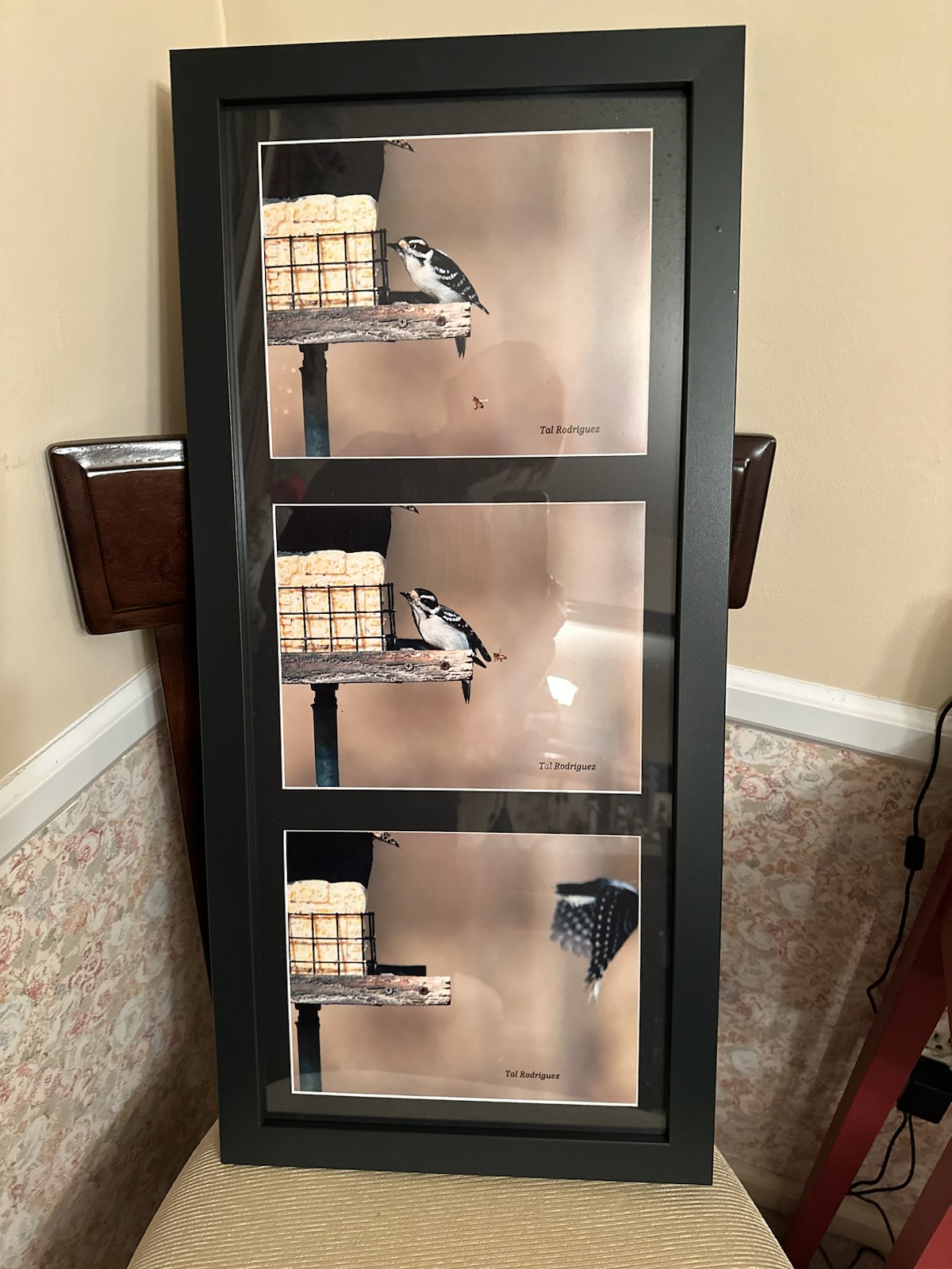 5369-5371 The Bird and the Bee (3 Photo Series)