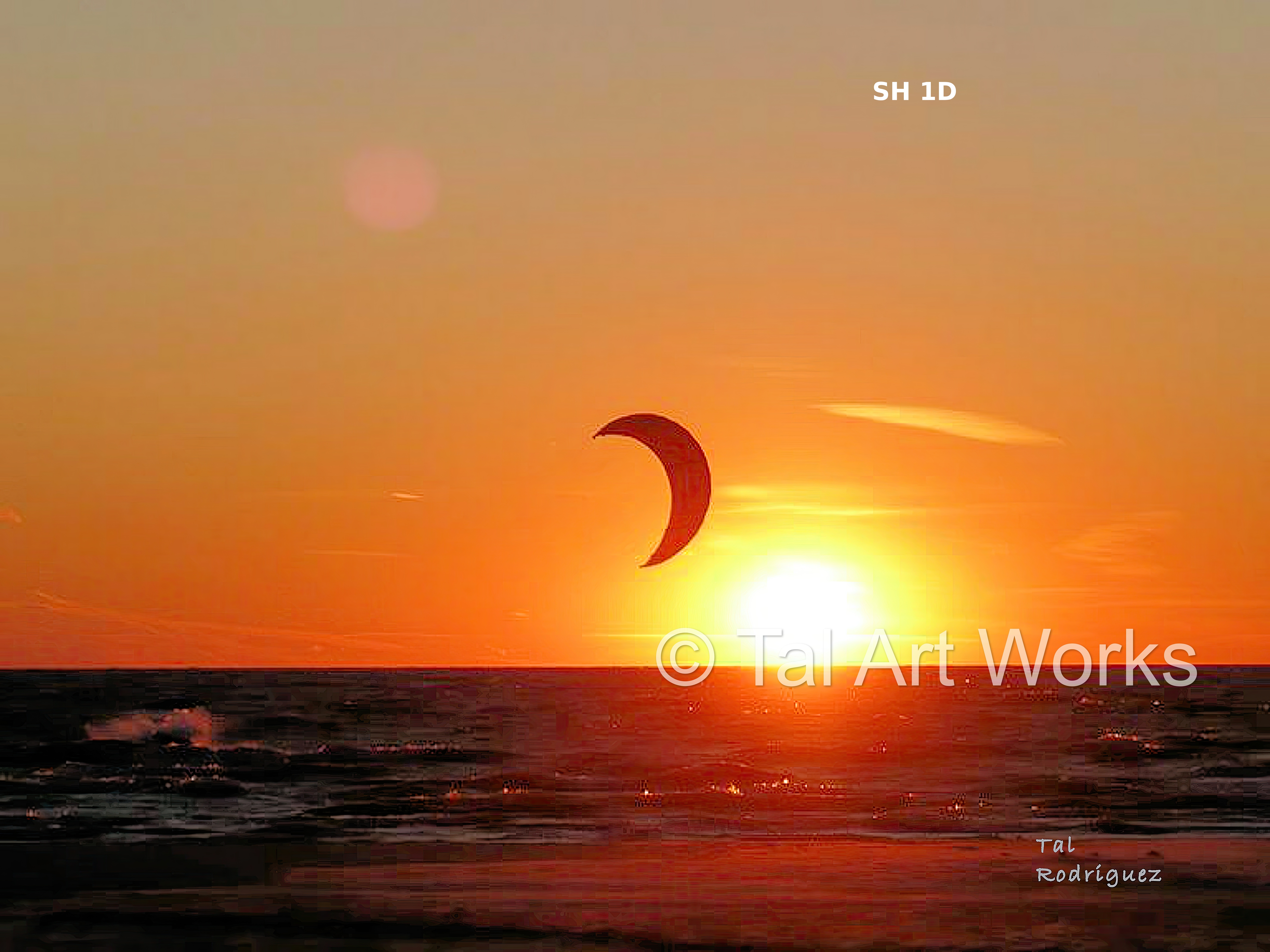 SH Series - The South Haven Sunset Pier Photographs (4 Photo Series)
