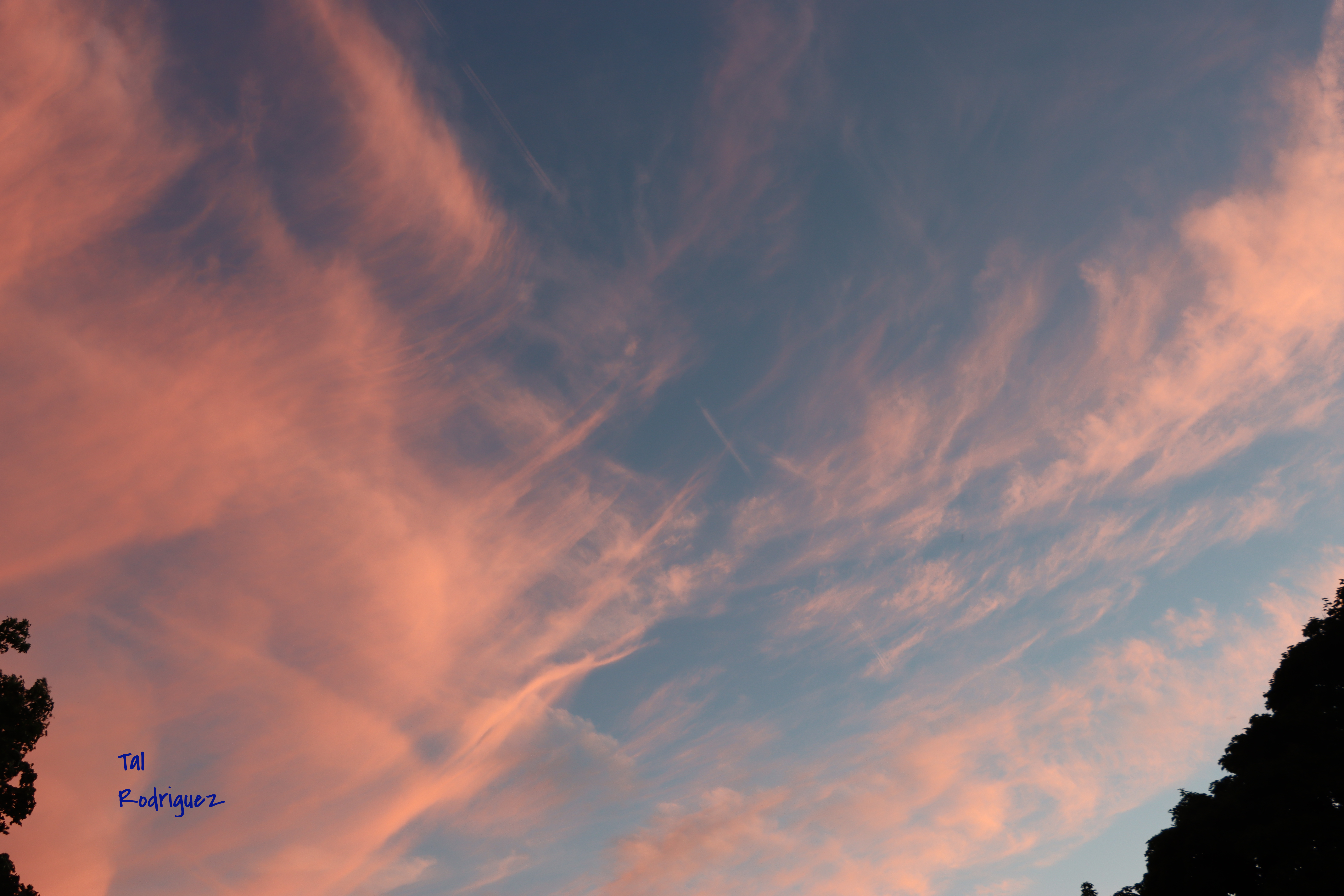 7824 - Clouds in the Sky