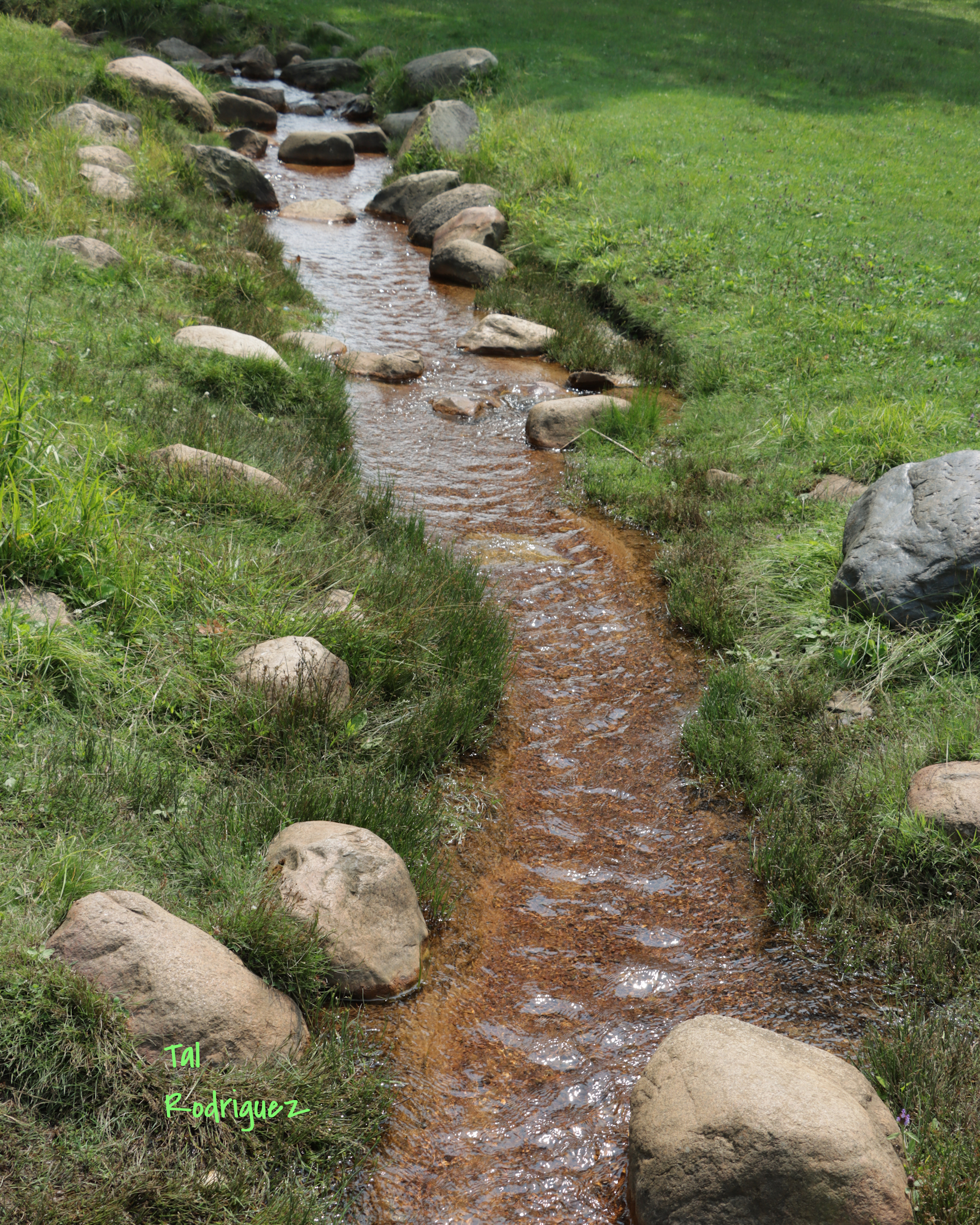 6817 - The Sound of Spring