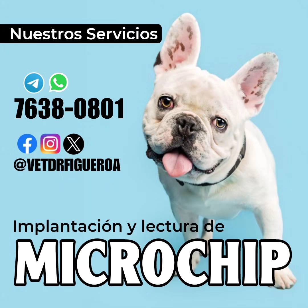 Clínica Veterinaria Dr. Gustavo Figueroa