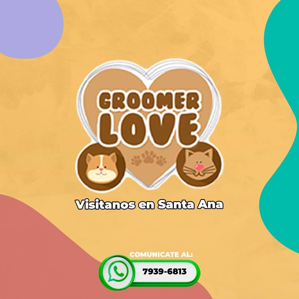 Groomer love 