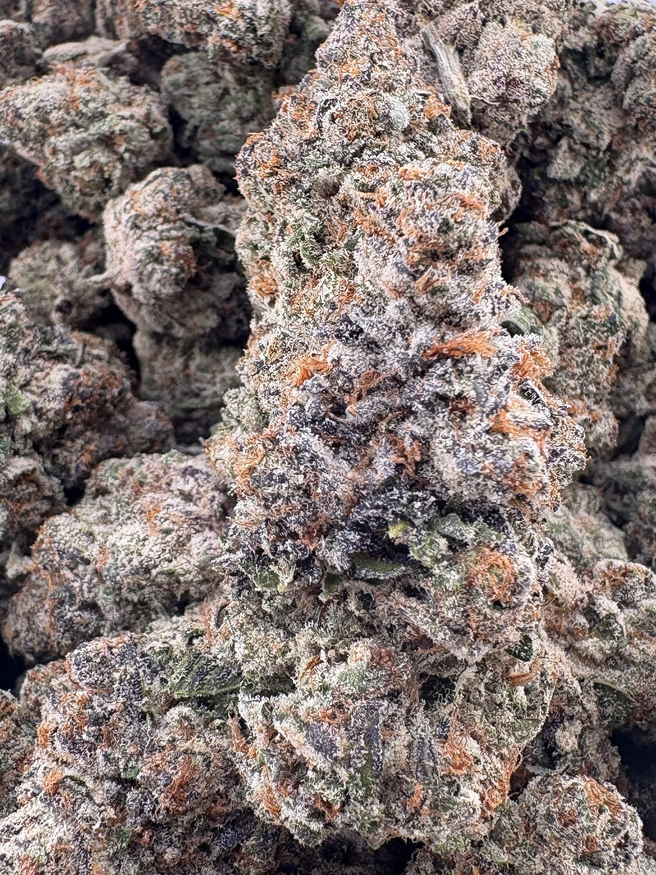 Gelonade Xotic - Hybrid - (Exotic Limited)