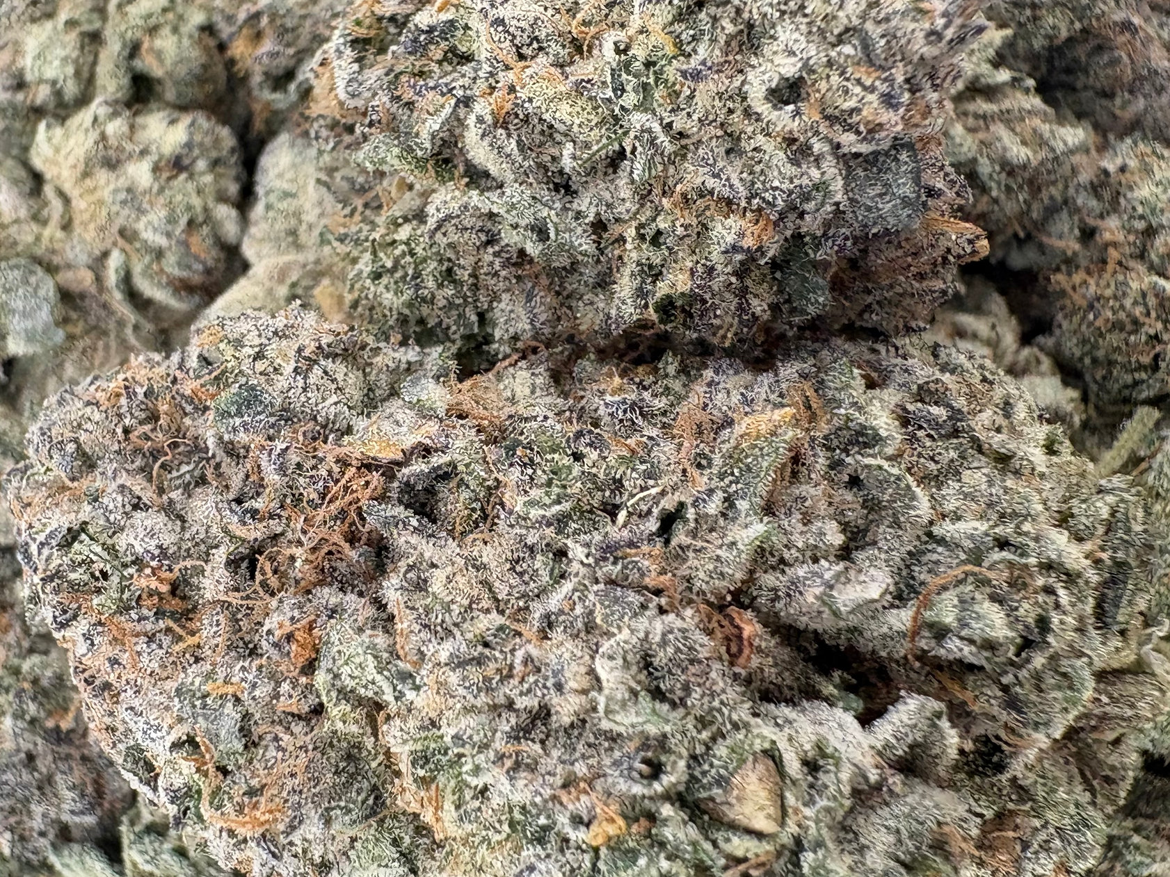 Amaretto Mintz - Indica - (Exotic Limited)