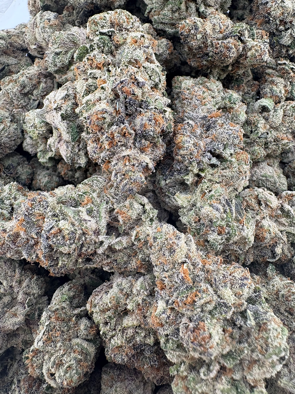 Gelonade Xotic - Hybrid - (Exotic Limited)