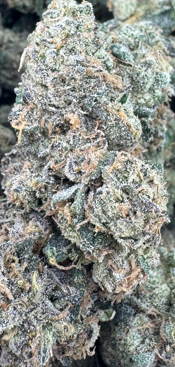 Blueberry Bubblegum Horchata - Hybrid - (Exotic Limited)