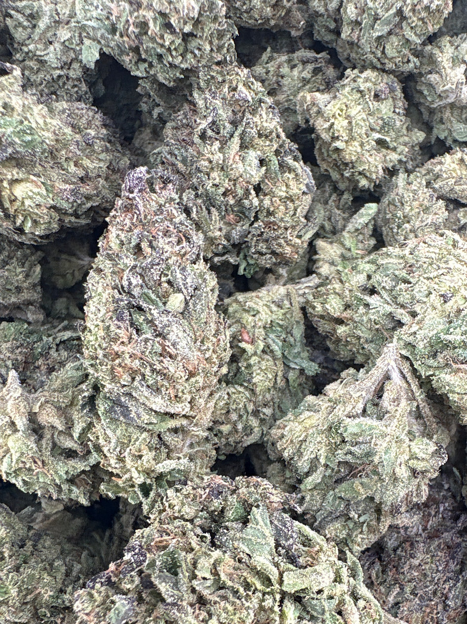 Modified Sherbert - Hybrid