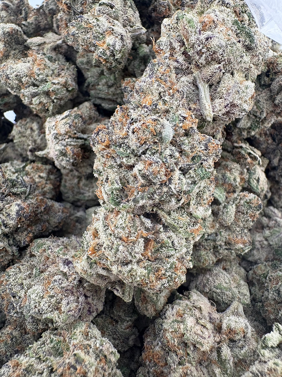 Gelonade Xotic - Hybrid - (Exotic Limited)