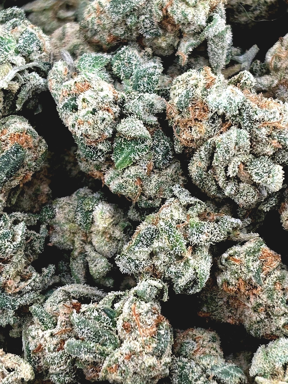 Grape St Park 1904 Smalls - Indica