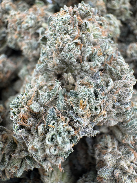 Royal Runtz - Hybrid - (Exotic Limited)