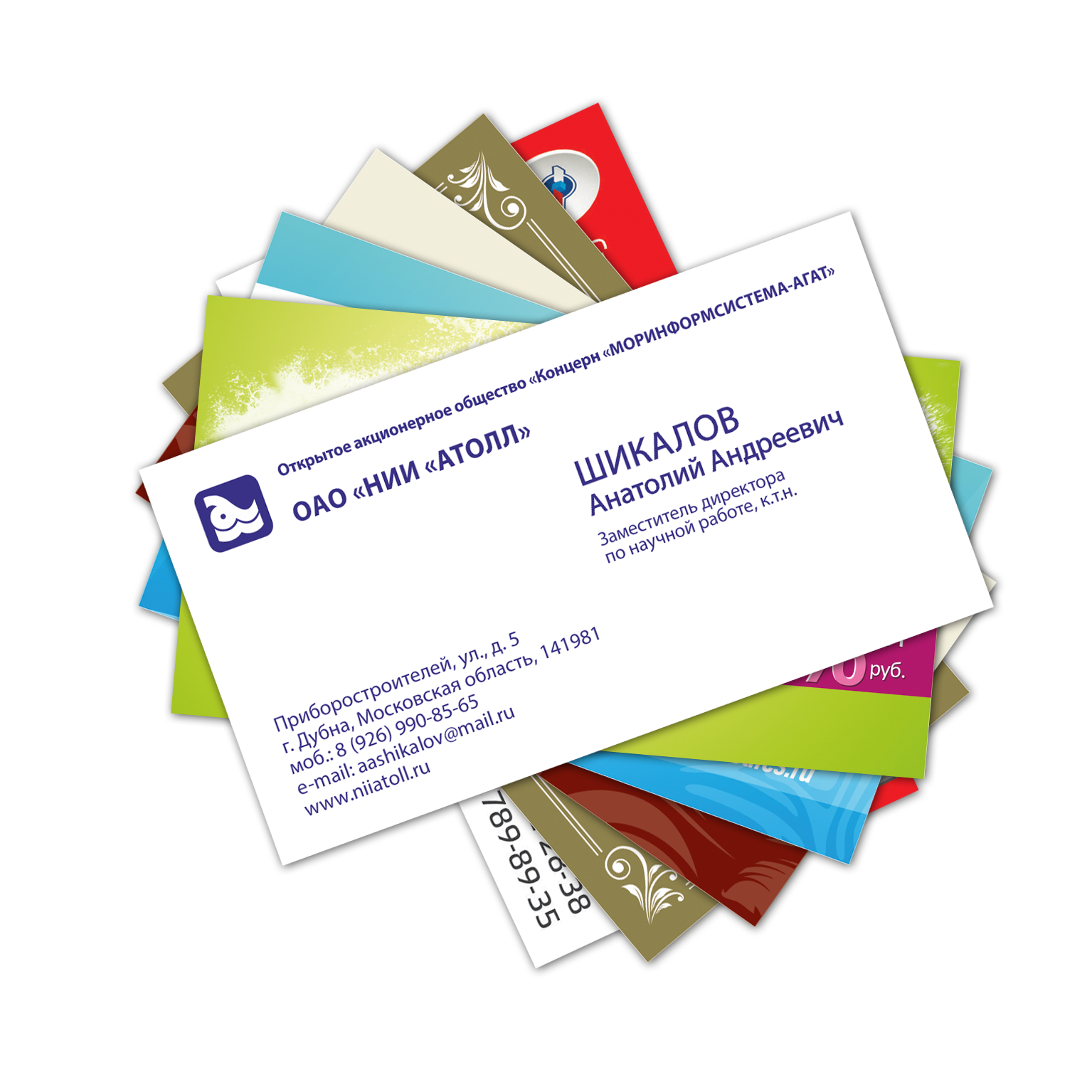 Business & Marketing Collateral