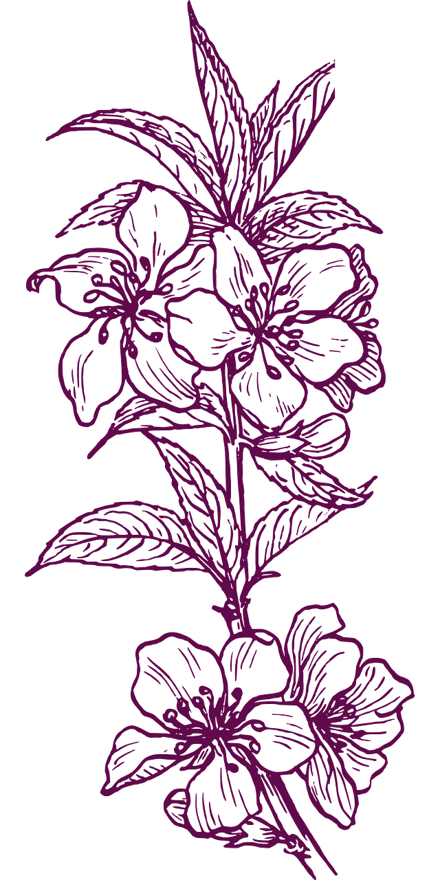 Custom Illustrations & Merchandise Design