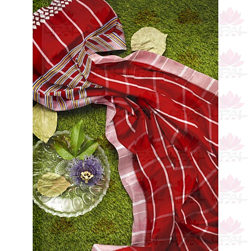 Traditional Red Saree