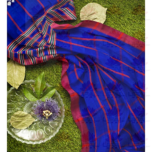 Traditional Blue Saree