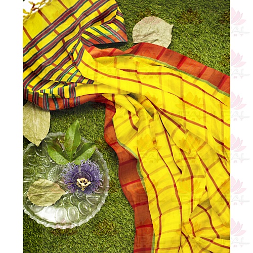 Traditional Yellow and Red Saree