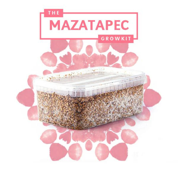 Mazatapec Magic Mushrooms Grow Kit
