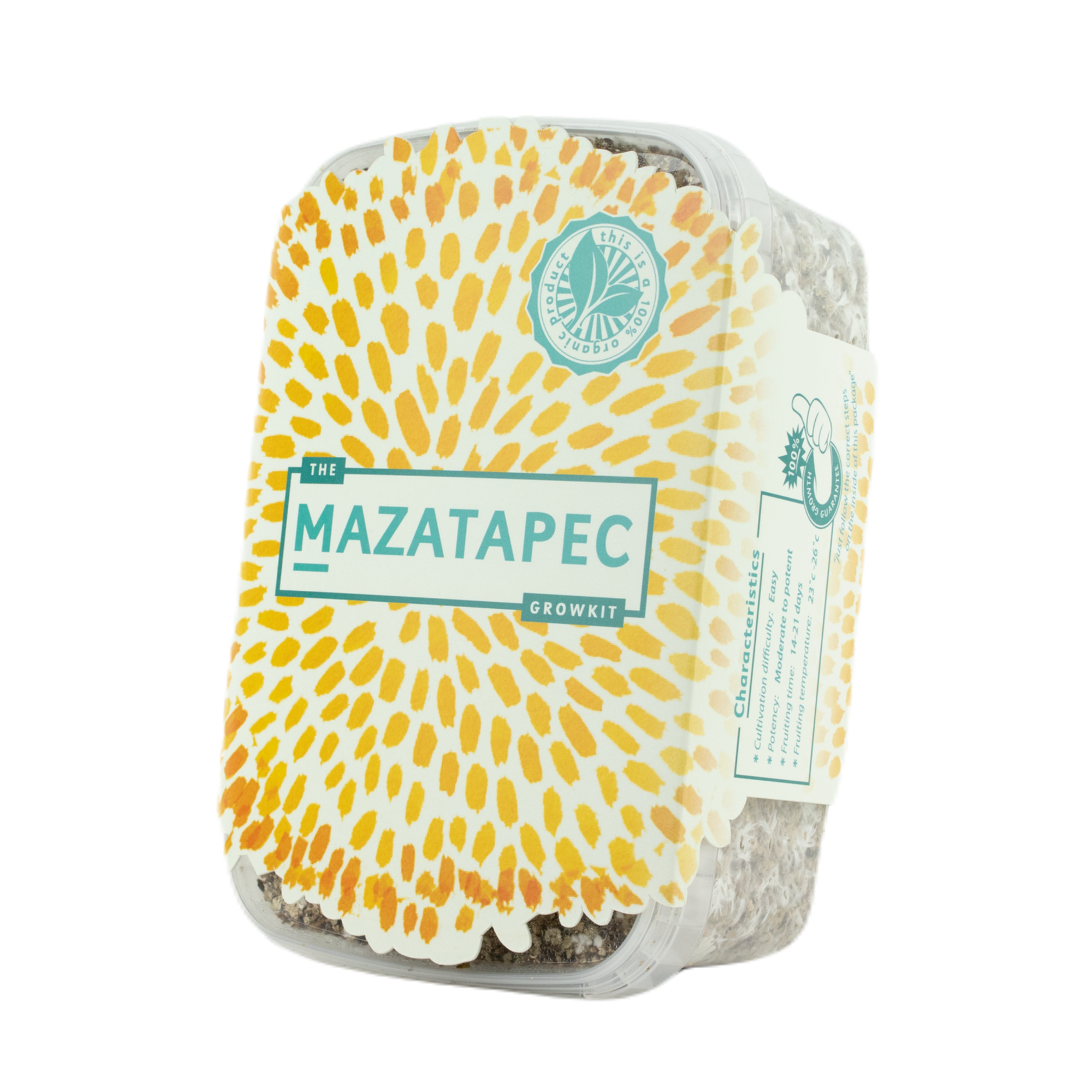 Mazatapec Magic Mushrooms Grow Kit