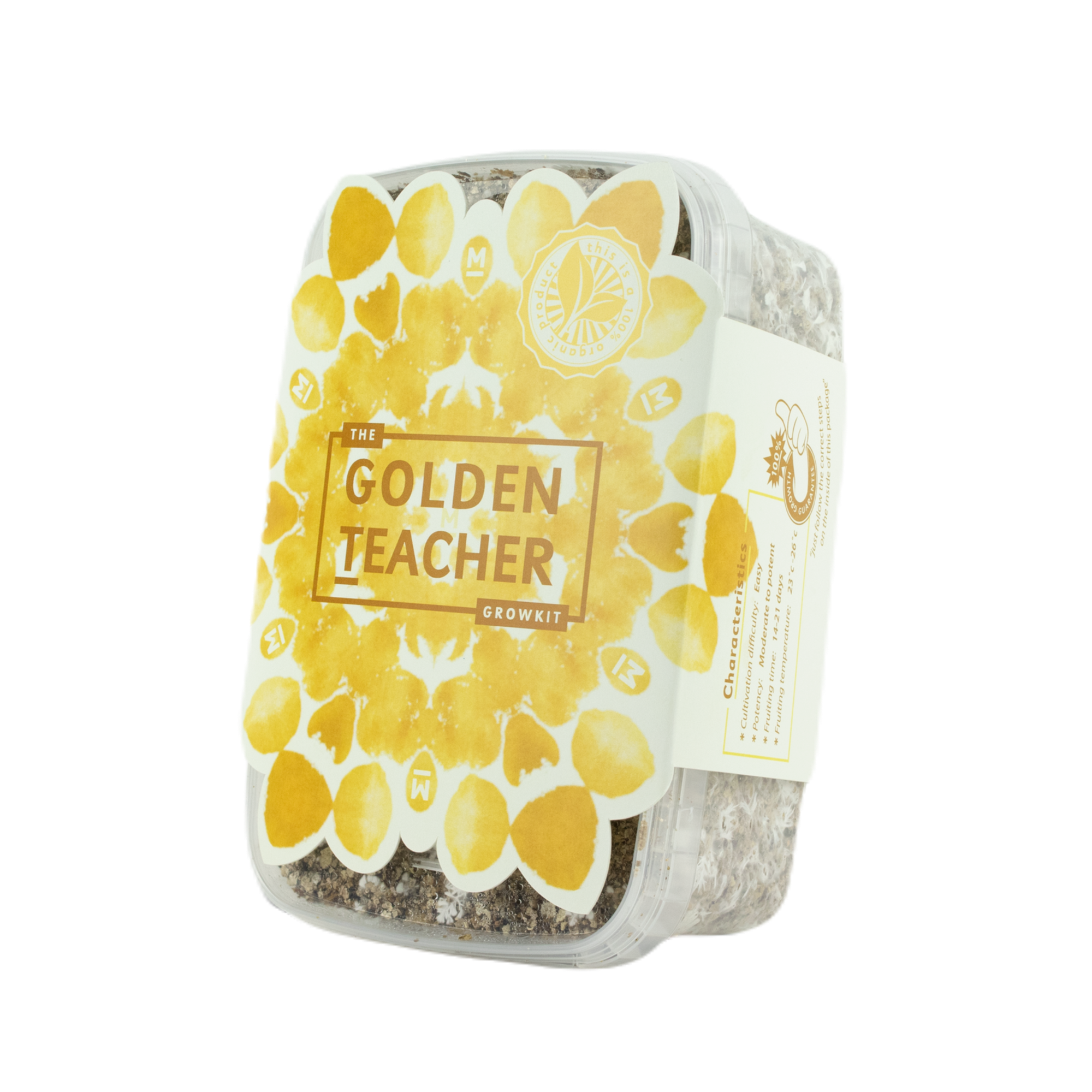 Golden Teacher Magic Mushrooms Grow Kit