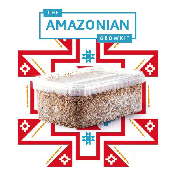 Amazonian Magic Mushrooms Grow Kit