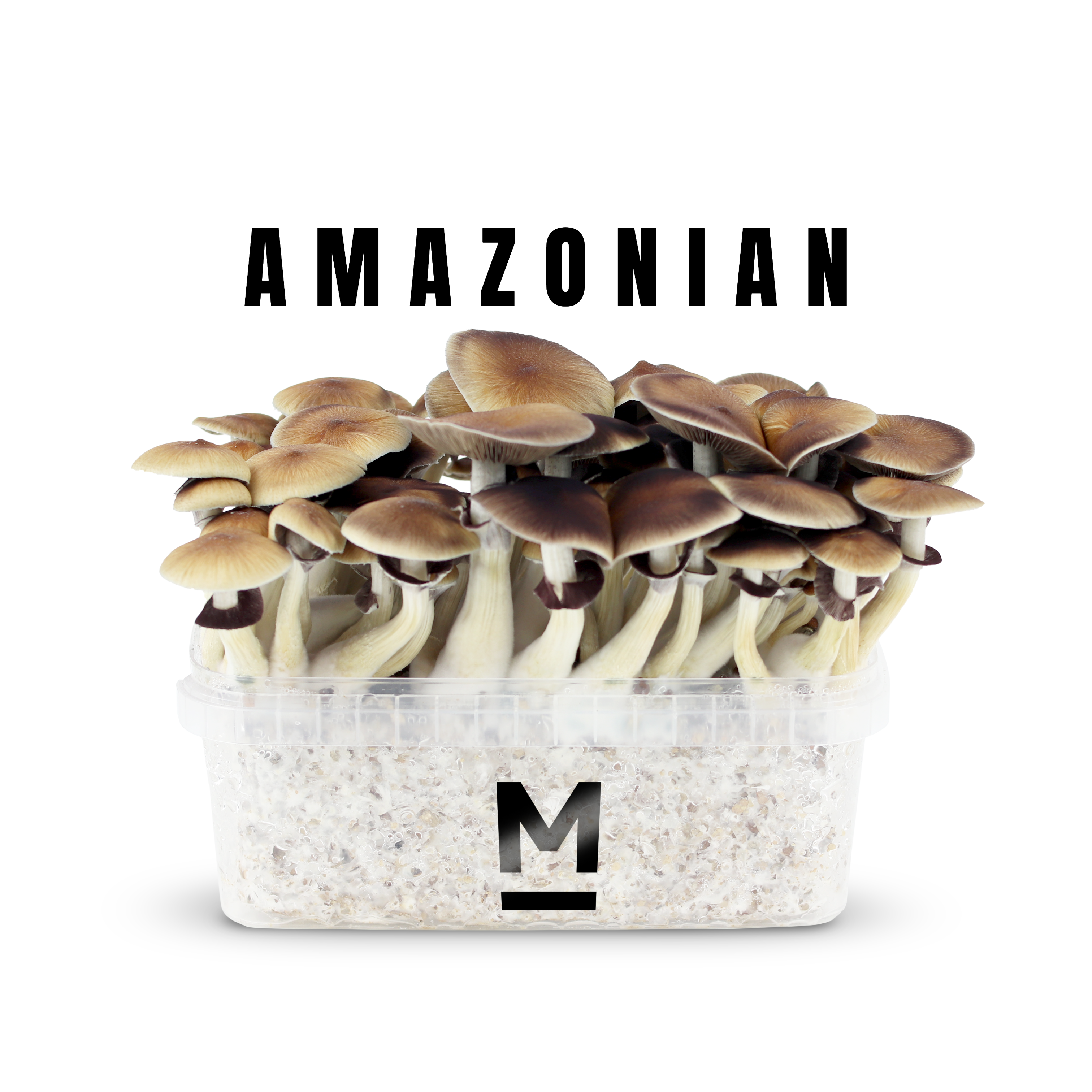 Amazonian Magic Mushrooms Grow Kit