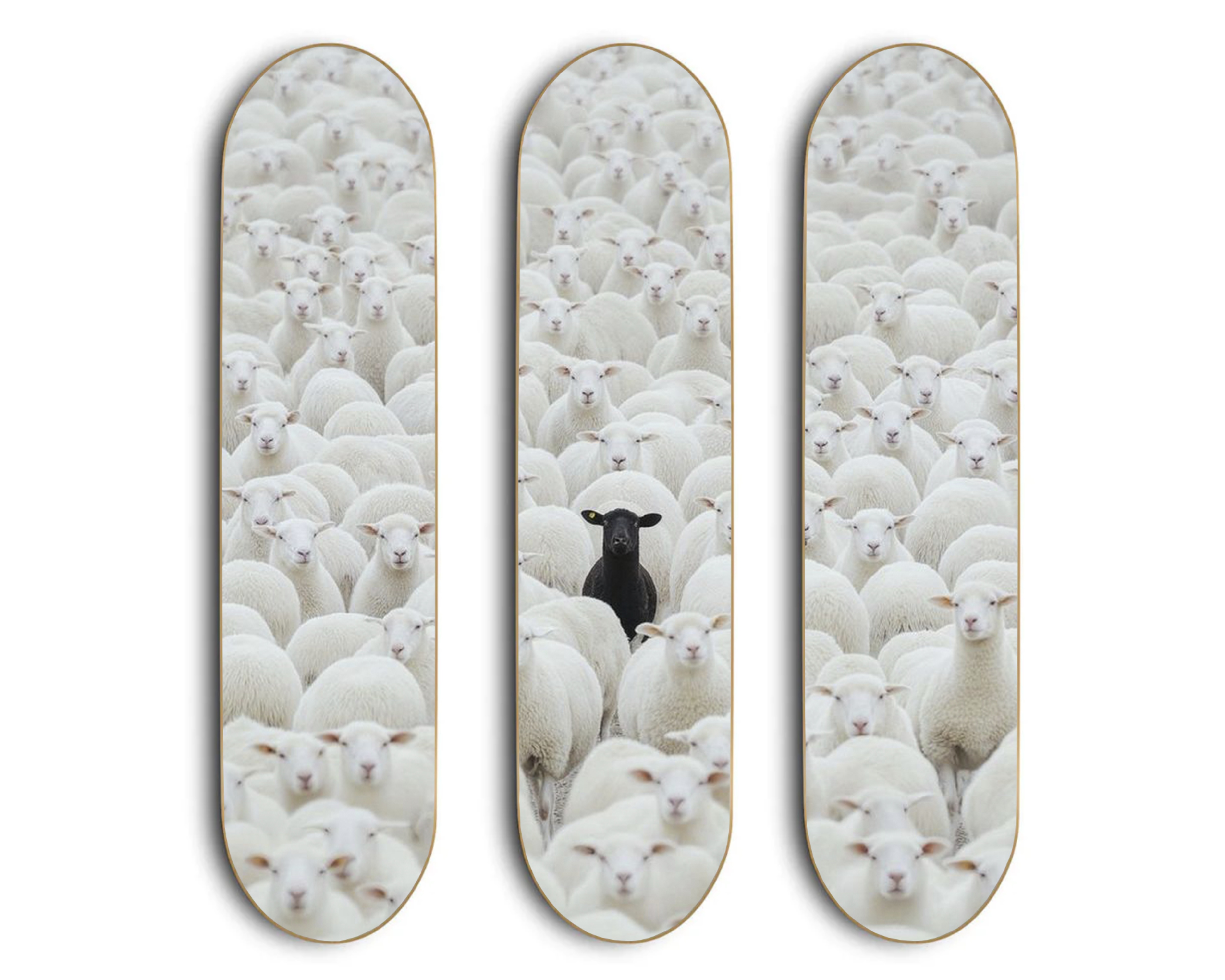 BLACK SHEEP