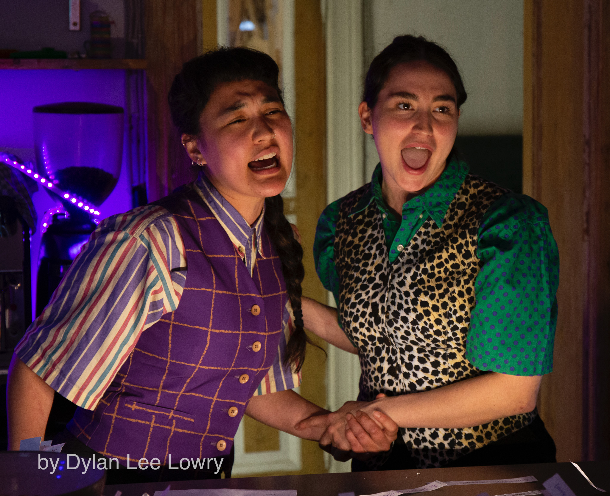 Artistic Performance Documentation