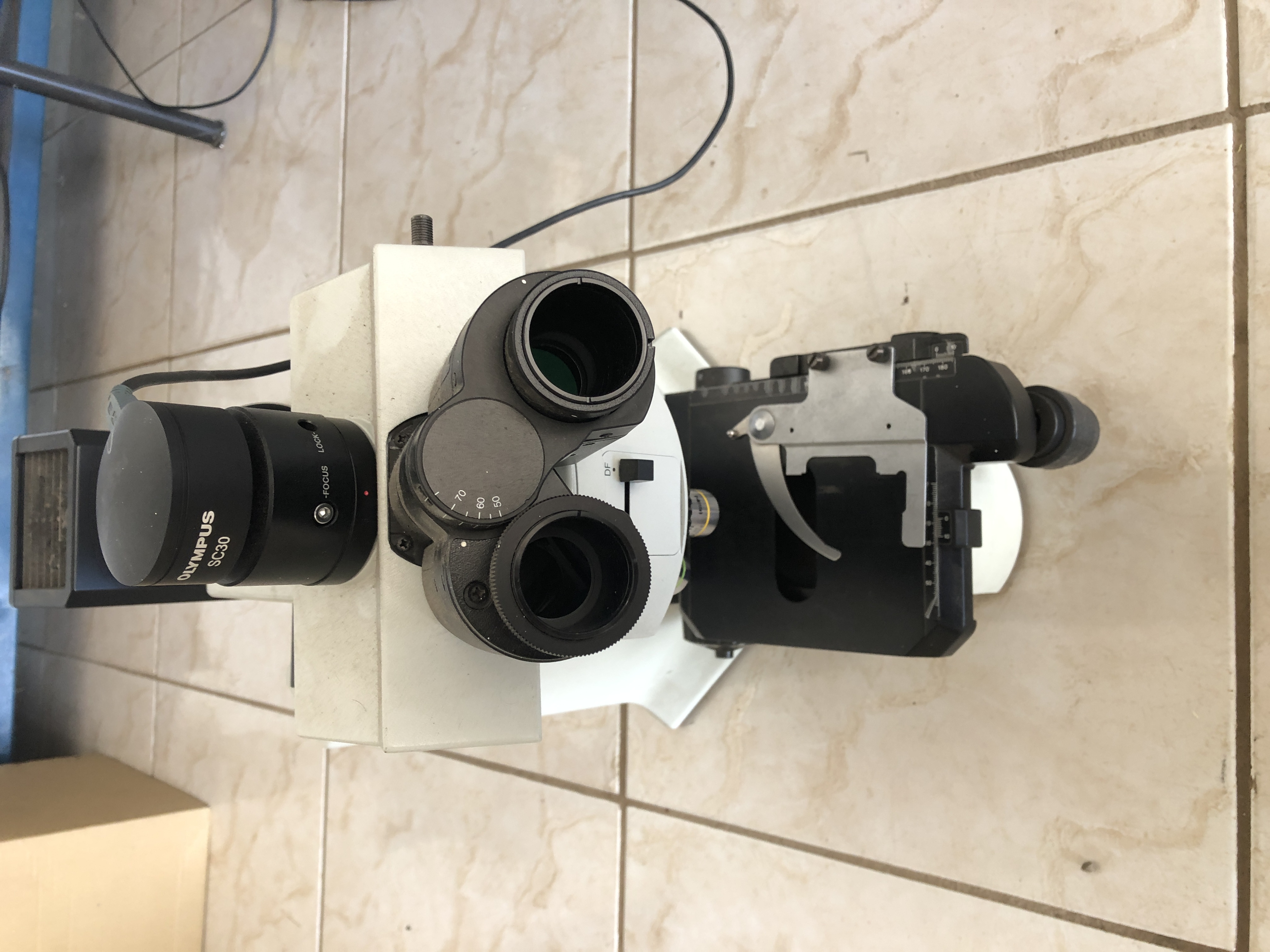 Microscópio Olimpus BX51M
