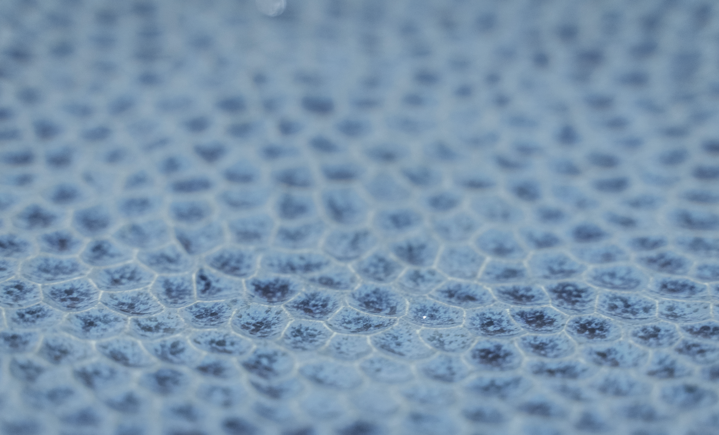 Textured Blue Plate, 30cm