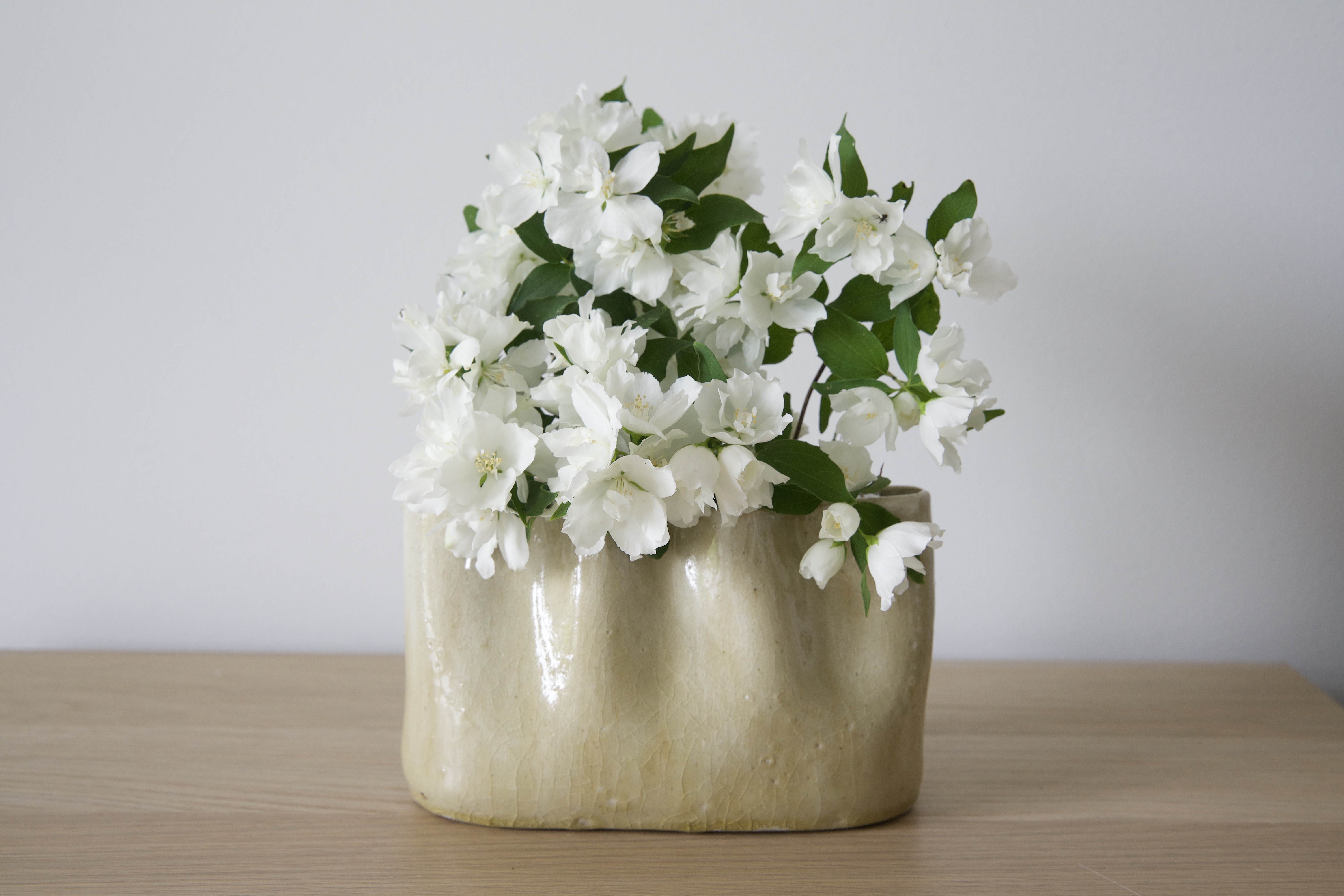 Ceramic Flower Vase