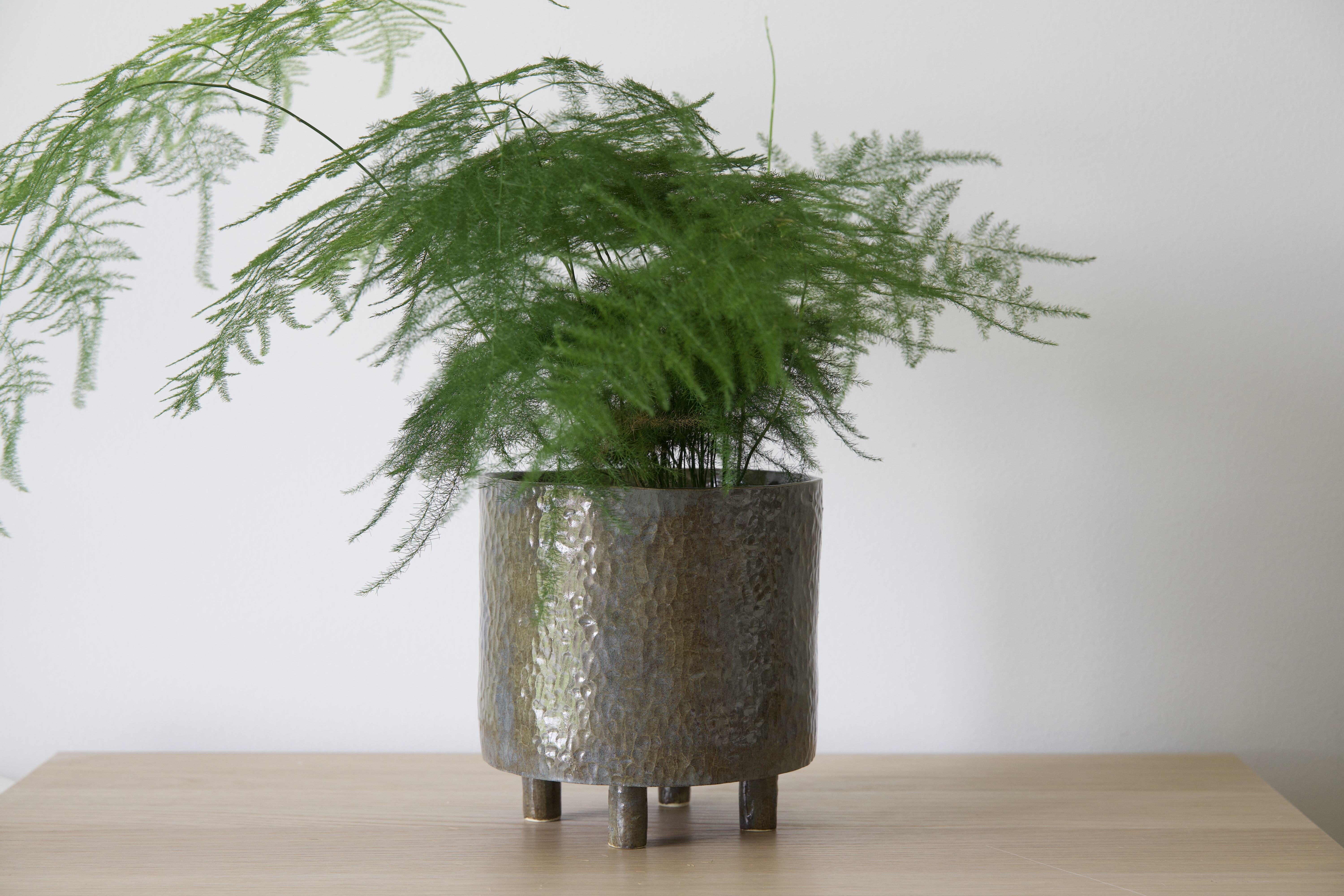 Modern Plant Pot
