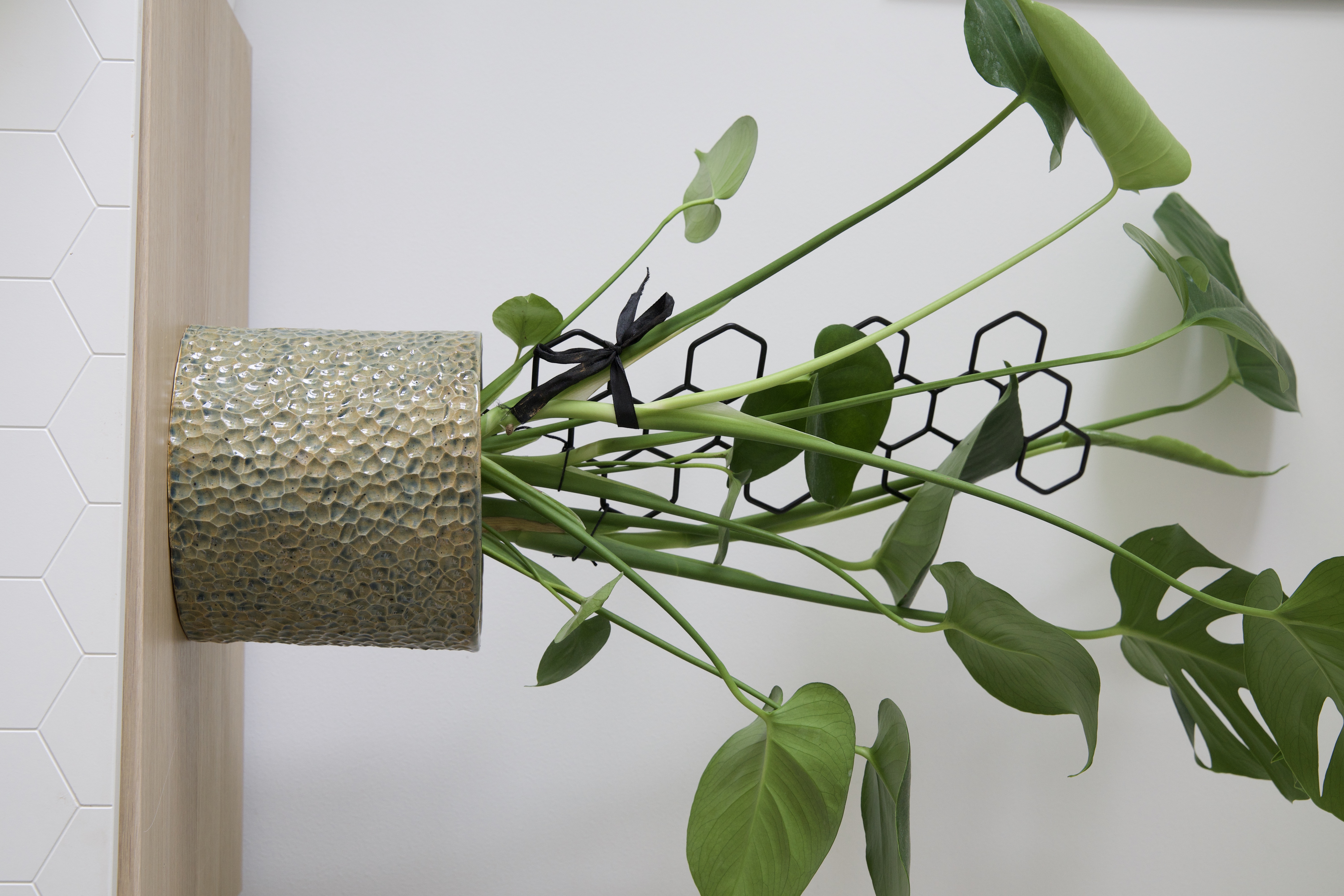 Textured Ceramic Plant Pot