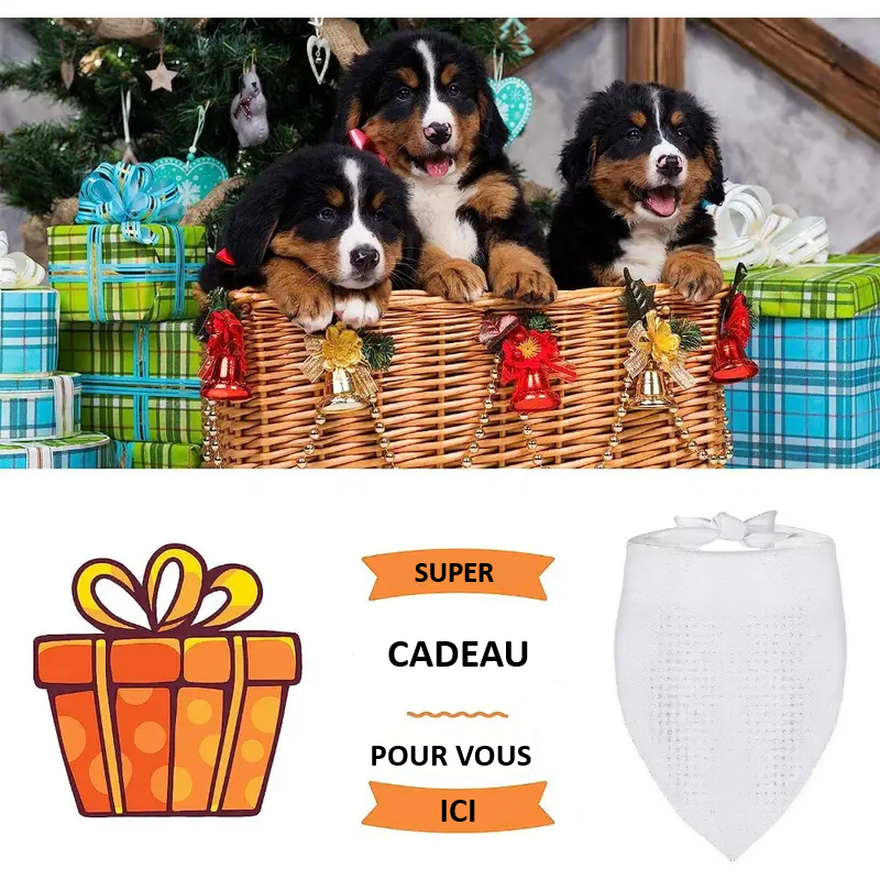 Bandana pour chien