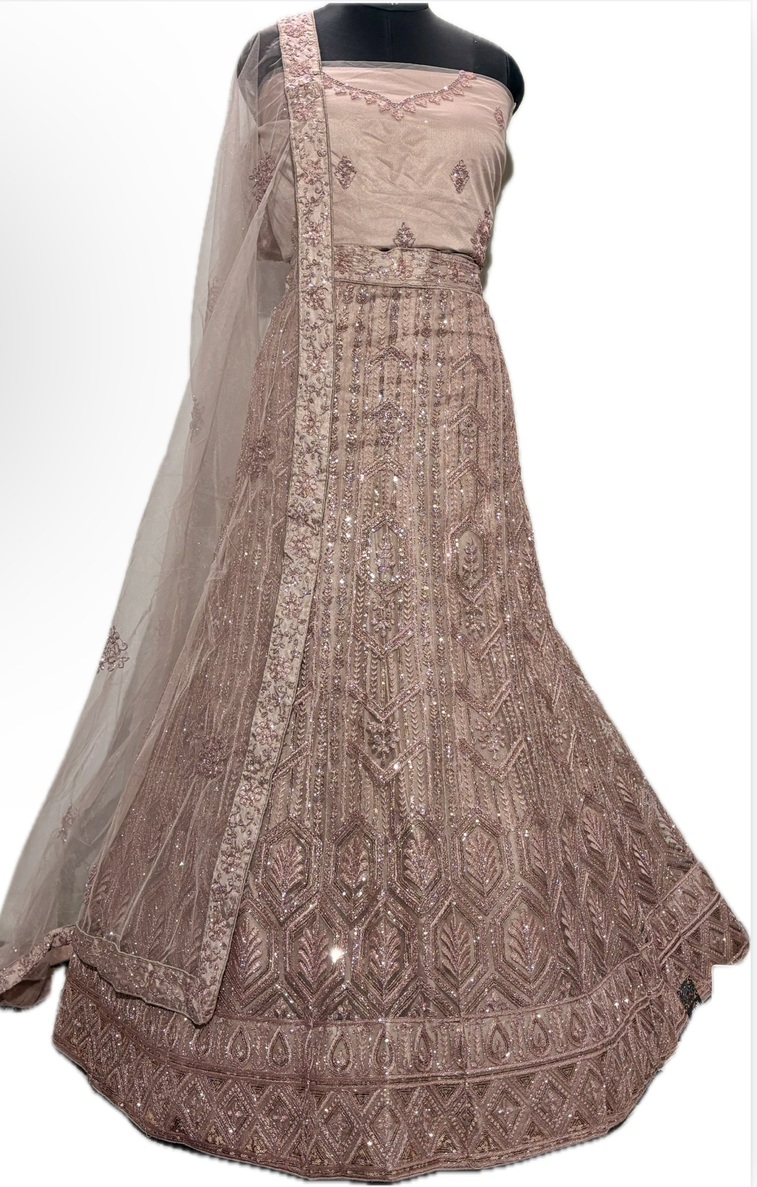 Party wear Lehenga 