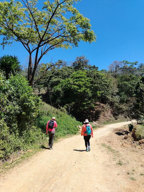 Exploración Ligera por Cascadas: 