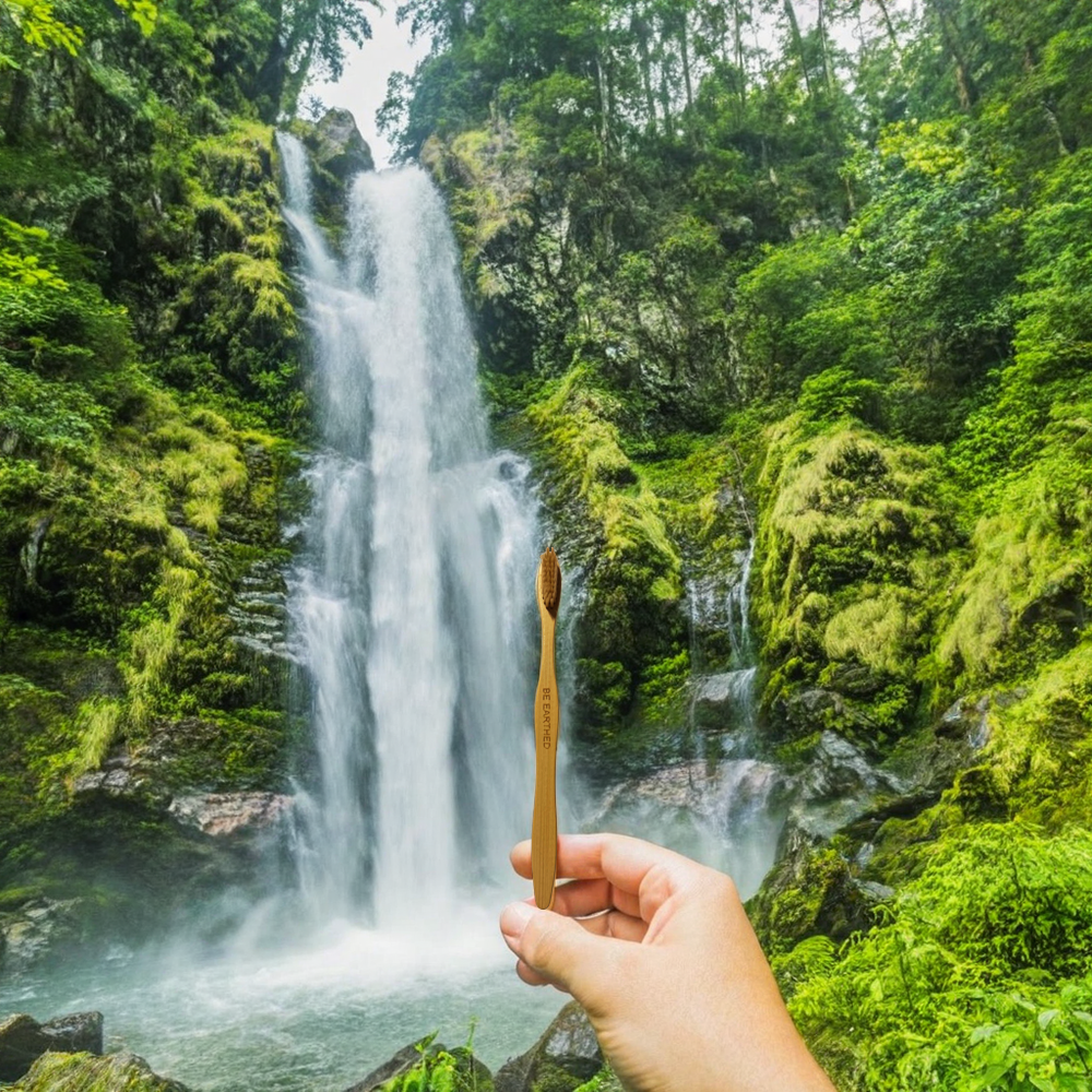 Bamboo Toothbrush