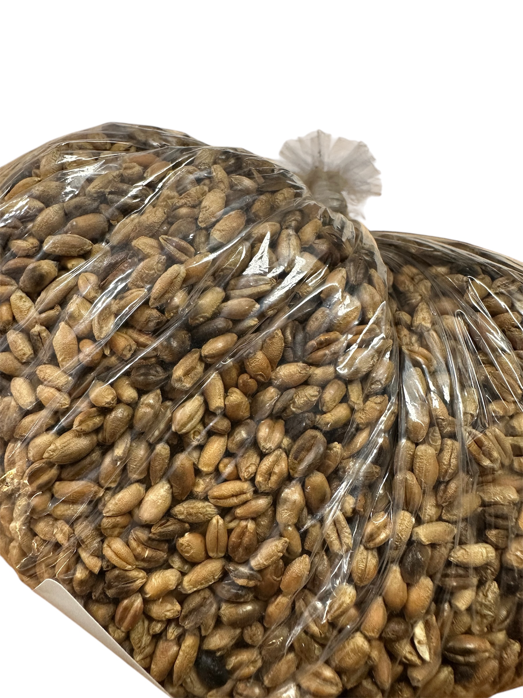 Granos de cebada dorada 